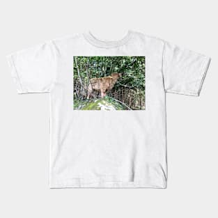 Scottish Highland Cattle Calf 1488 Kids T-Shirt